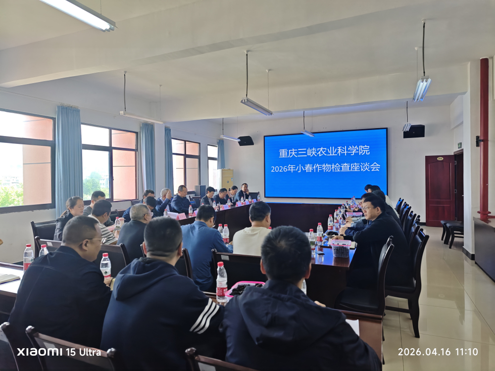 betway西汉姆联